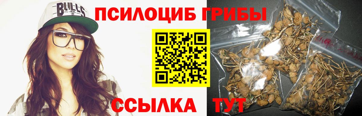 Галлюциногенные грибы GOLDEN TEACHER  Вход с VPN  Лесосибирск 